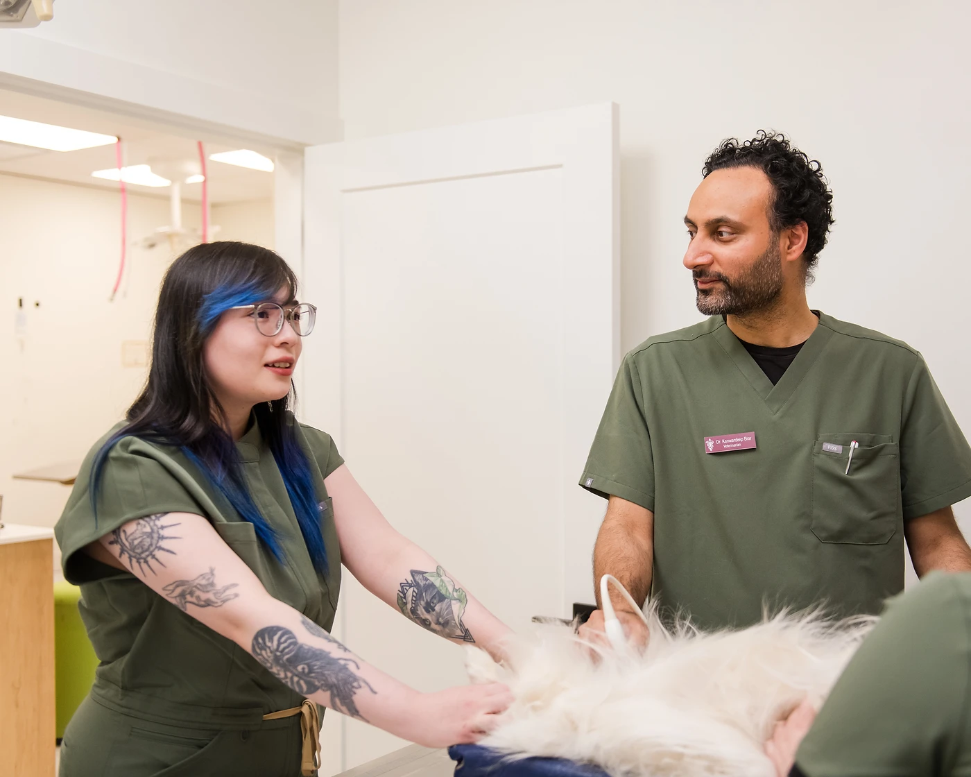 Our veterinary team caring for a patient at Columbia Square Animal Hospital